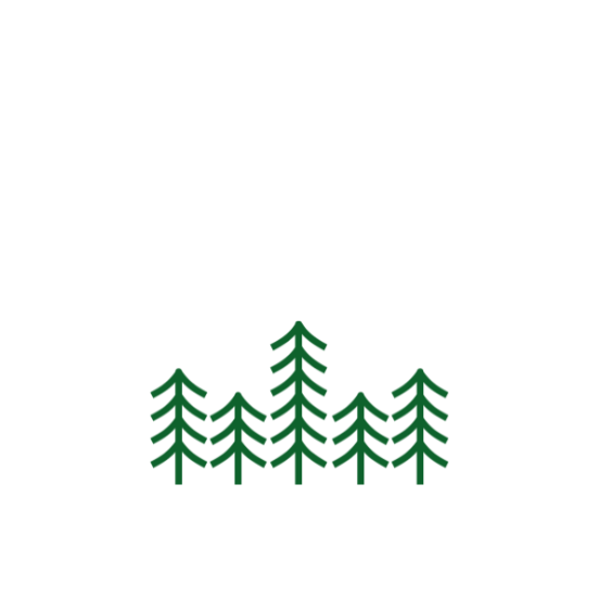 Aaron Williams CPA, PLLC